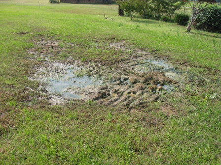 septic maintenance texas cities 
      zip batch